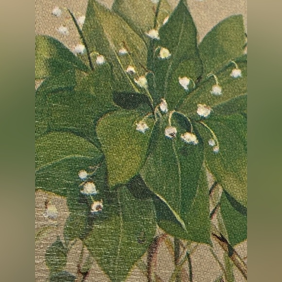 Hummingbird floral PIN Bird flower BROOCH handmade Vermont Nancy Revoir Dezotell - Picture 5 of 15